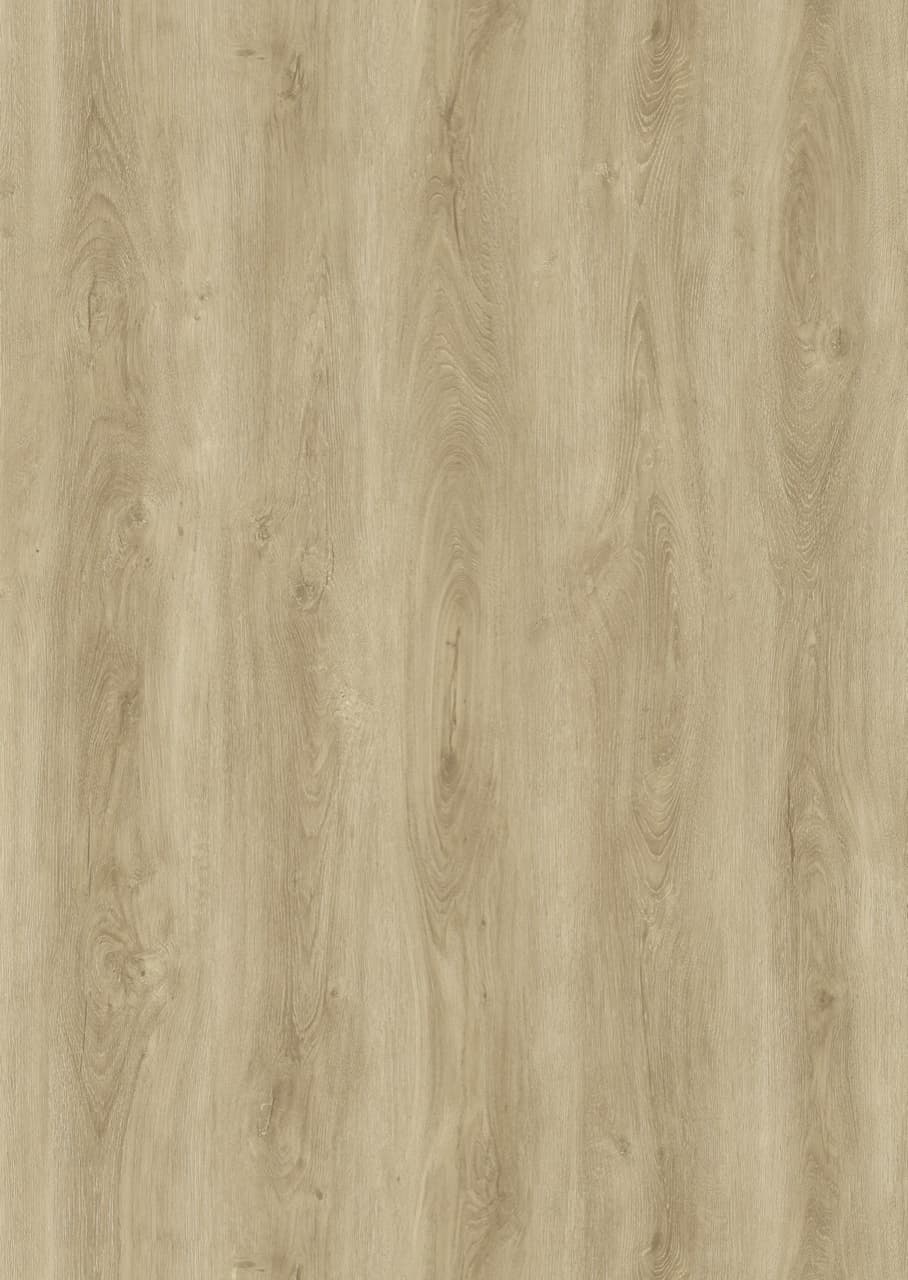 Sandstone floor swatch