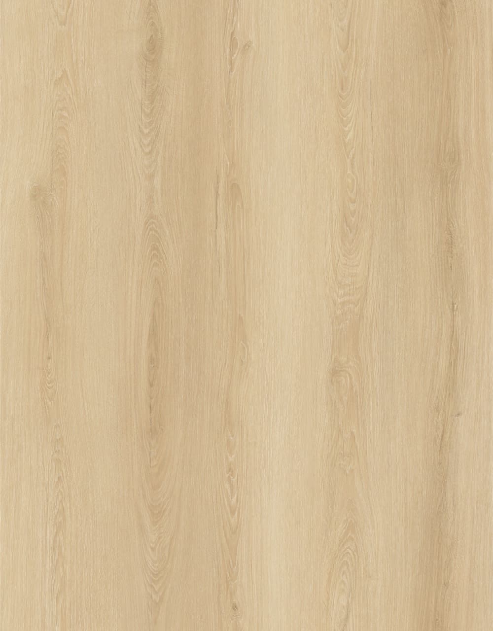 Natural Oak — close-up swatch
